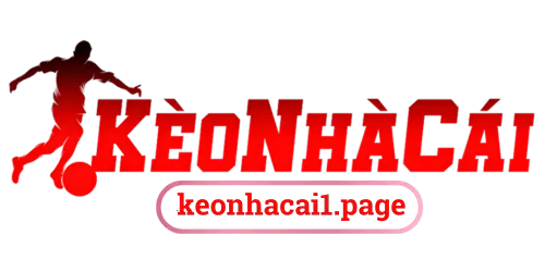 newseo